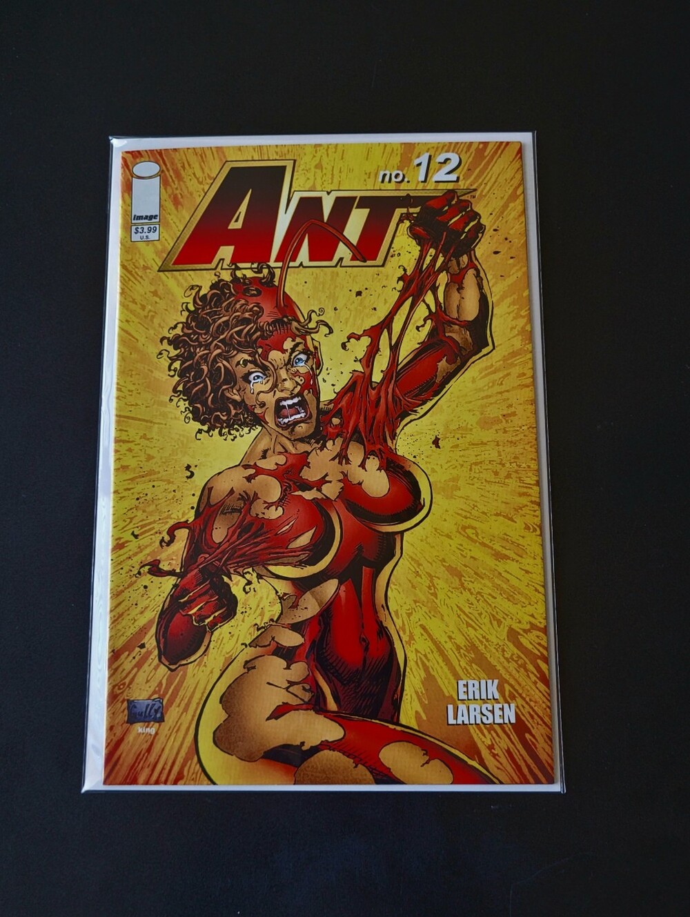 Ant #12